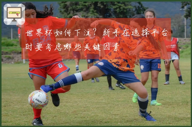 世界杯如何下注？新手在选择平台时要考虑哪些关键因素